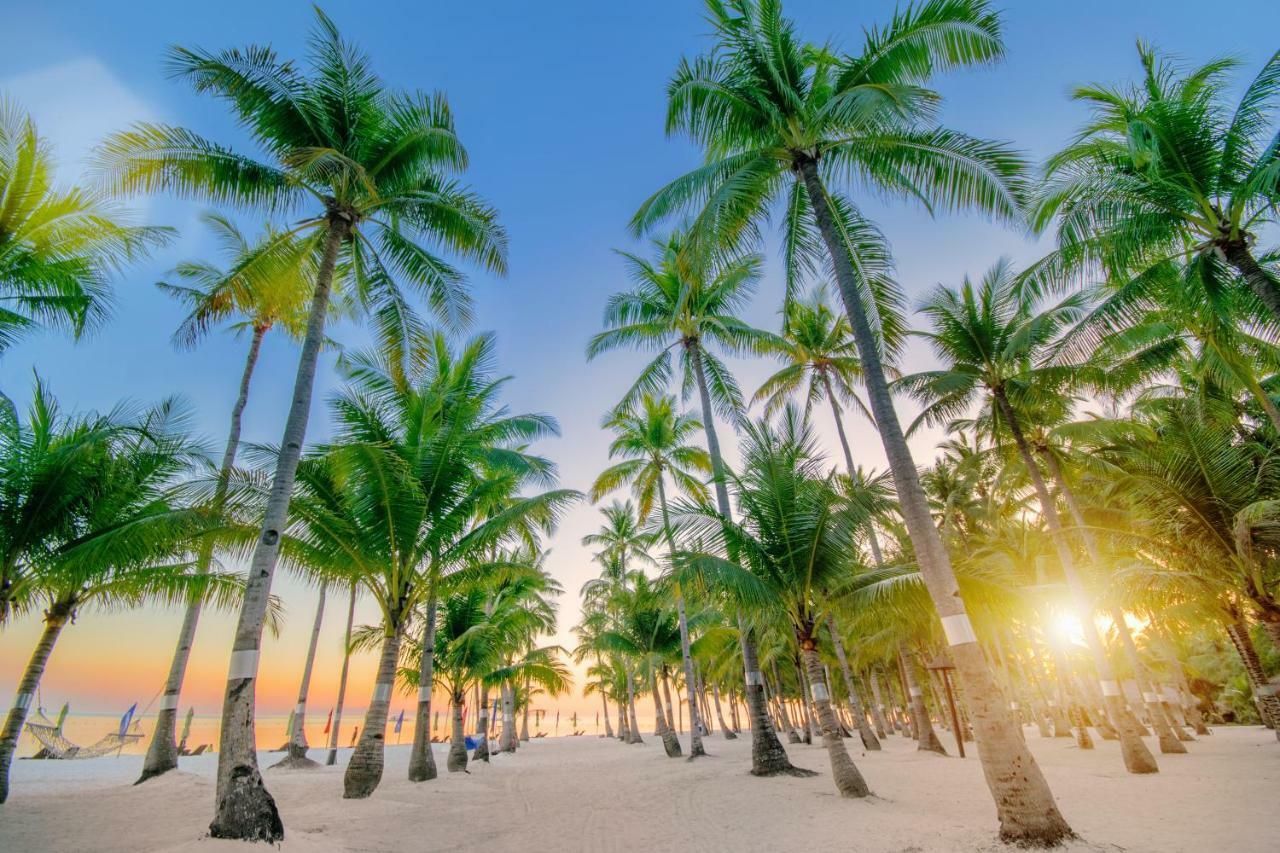 فندق ساوث بالمز ريزورت بانغلاو بنغلاو المظهر الخارجي الصورة Palm trees on a beach